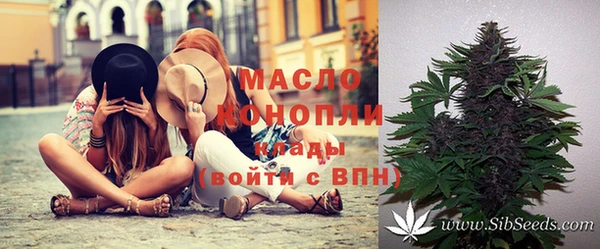 гашик Сафоново