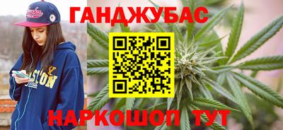 прущие грибы Обнинск