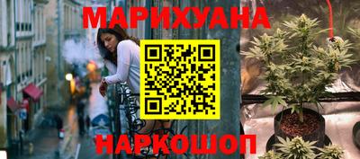 прущие грибы Обнинск
