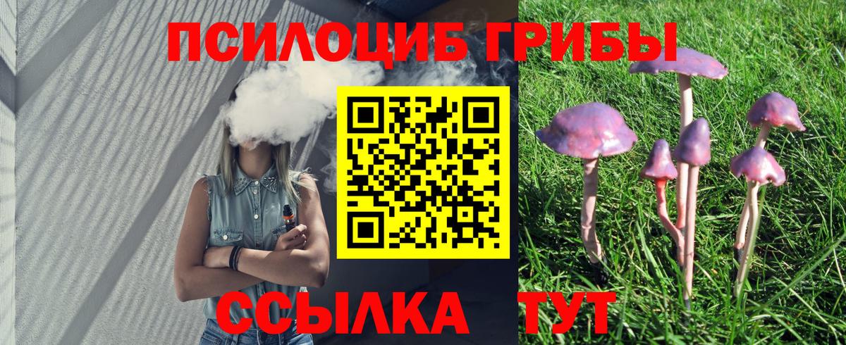 Галлюциногенные грибы Psilocybine cubensis Печора
