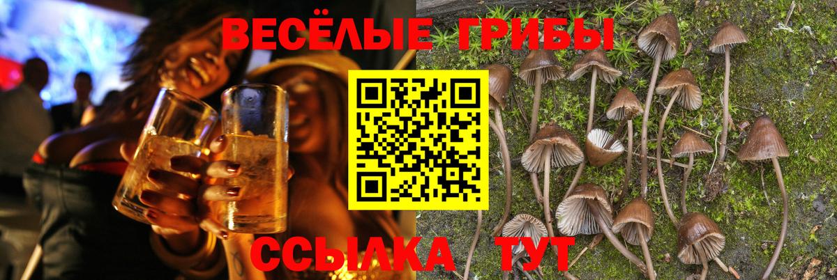 Печора  Псилоцибиновые грибы мицелий  Галлюциногенные грибы Magic Shrooms  закладка  Вход с VPN 