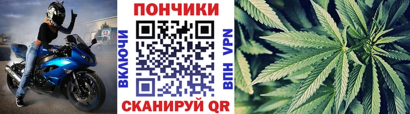 Бошки Шишки индика  это как зайти  Печора 